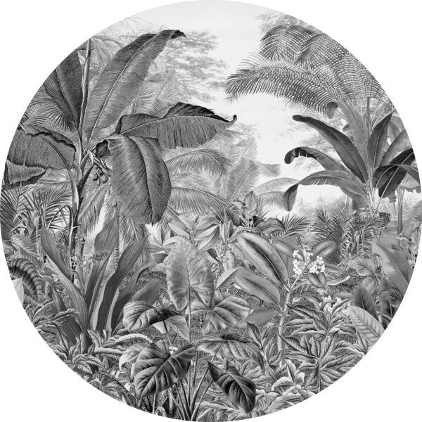 Sticker mural Jungle Sauvage